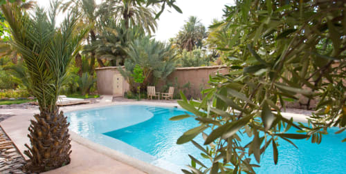 L'Ma Lodge maison d'hôtes avec piscine au maroc maison d'hôtes avec piscine à Ouarzazate maison d'hôtes avec piscine à skoura maison d'hôtes avec piscine au coeur d'une palmeraie piscine chauffée boutique hôtel avec piscine maroc
