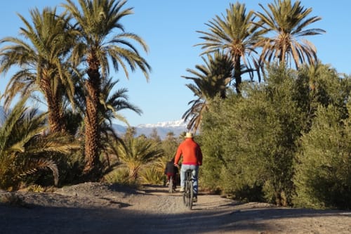 L'Ma Lodge excursion guided walk in the palm grove of Skoura picnic lunch at the inhabitant's walk mountain bike ride in the palm grove travel agency excursions office off the beaten track original accommodation Morocco Ouarzazate Dadès valley of roses