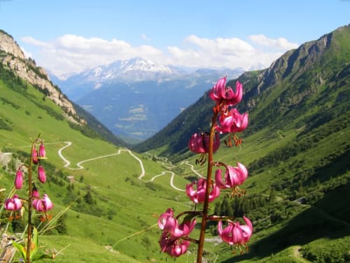 Mountain hiking during the summer - near La Plagne in Savoie
