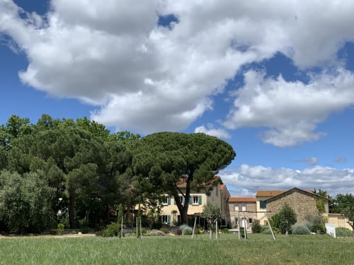 Rustic stone cottage with large umbrella pine tree at Gites Mas D'en Ratéro in Thuir, France, surrounded by green fields and
