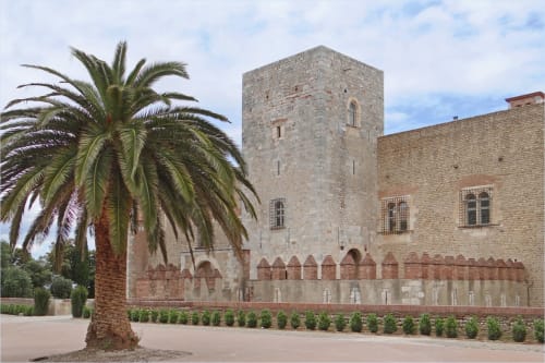 Tour de château en pierre médiévale avec palmier aux Gites Mas D'en Ratéro, Thuir, France
