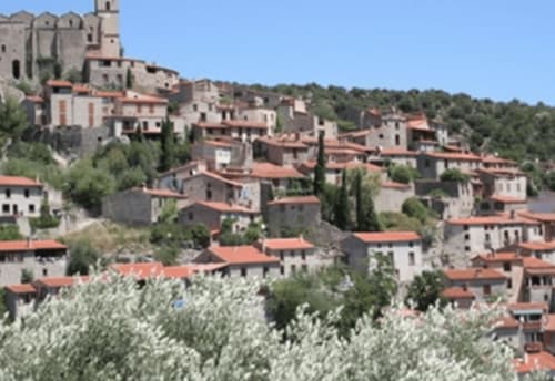 Village médiéval en pierre de Thuir avec toits en terre cuite, clocher, cyprès et oliveraies sur la colline