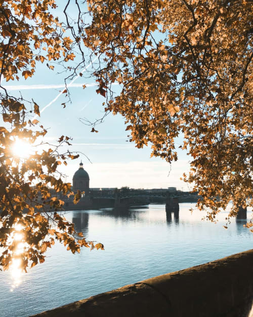 Autumn riverside view of Toulouse's Pont Neuf bridge and dome from Montaut, golden leaves frame the scene