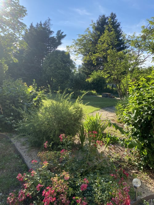 Allée de jardin luxuriant aux fleurs roses du Cocon De Curson, gîte français à Chanos-Curson