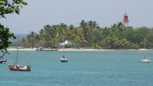 Visiter la Guadeloupe et ses nombreux paysages - bord de mer
