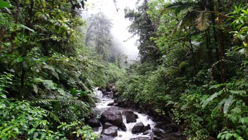 Vacances nature tropical les chutes du carbet