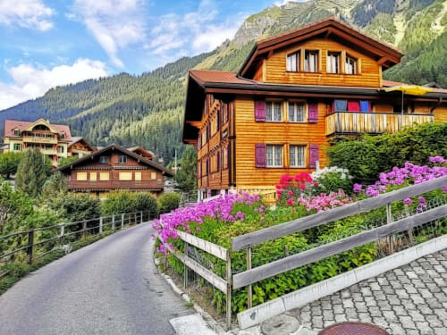 Chalet Domisiladoré dans les Alpes françaises, façade en bois doré, fleurs violettes et vue sur les montagnes
