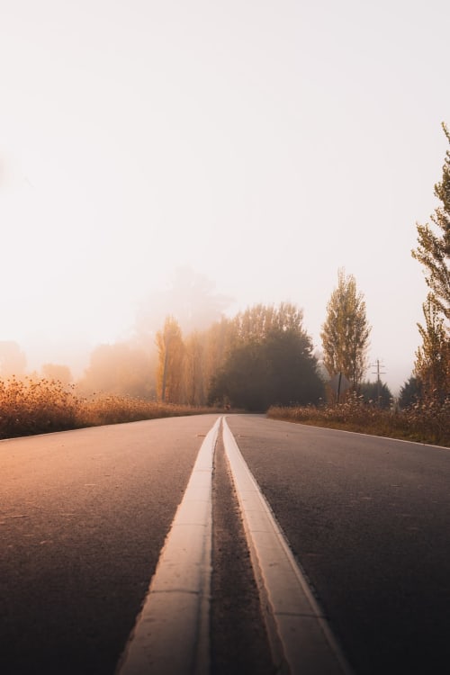 Misty autumn road with poplar trees leading to Chalet Domisiladoré in French Alps
