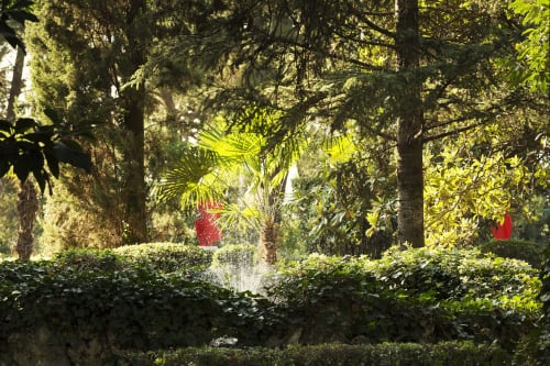 Jardin luxuriant du Mas de Lafeuillade B&B à Montpellier avec haies, palmiers et fleurs rouges