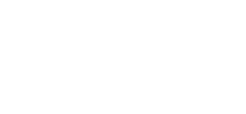 Demeure Saint Louis - Logo blanc