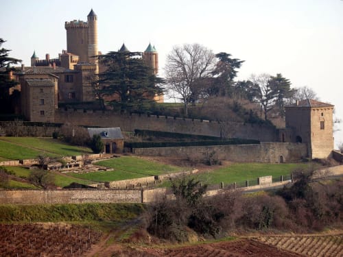 Château médiéval de Grandmont à Blacé, France, avec ses tours de pierre, remparts fortifiés et paysage environnant.