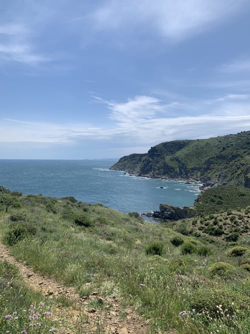 Vue côtière sur les falaises avec la mer Méditerranée et collines verdoyantes près de Thuir, France