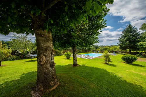 Jardin exotique avec piscine vue montagne