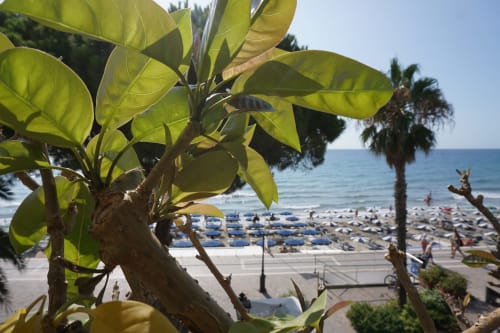Tropische Pflanzen rahmen den Strand von Alassio mit Palmen, blauen Sonnenschirmen und türkisfarbenem Meer beim Hotel Beau Rivage ein