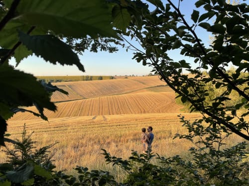 Two people walking through golden wheat fields near Montaut, France, with rolling farmland and green hedges framing the rural