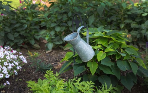 Discover permaculture in Pontorson | La Vieille Foulonnière