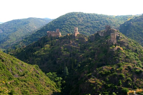 Voir les châteaux Cathares proche de Carcassonne