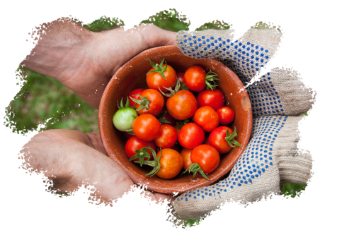 Permaculture en Normandie | La Vieille Foulonnière