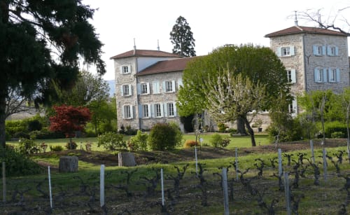 Château de Grandmont, manoir en pierre avec jardins paysagés et vignoble à Blacé, France