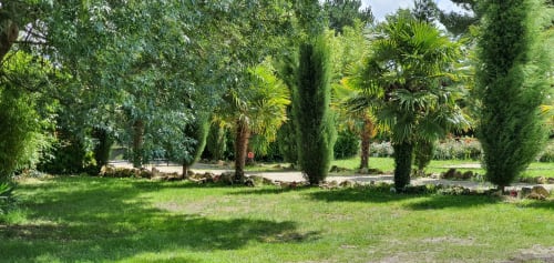 Üppiger Garten des Manoir Lacustre in Queyrac mit gepflegtem Rasen, Zypressen und Palmen, die eine friedliche Oase schaffen