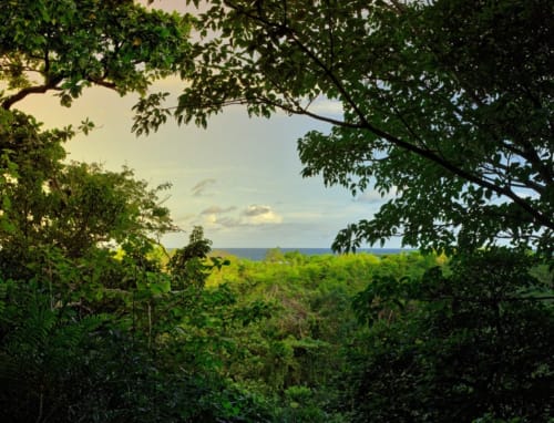 excursions randonnée hôtel île Sainte Marie Madagascar Ecolodge le Ravoraha