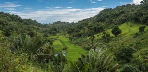 randonnée excursions hôtel île Sainte Marie Madagascar Ecolodge le Ravoraha