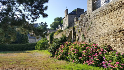Bâtiments en pierre avec hortensias roses aux Forges Du Lou B&B à Jugon-les-Lacs, France