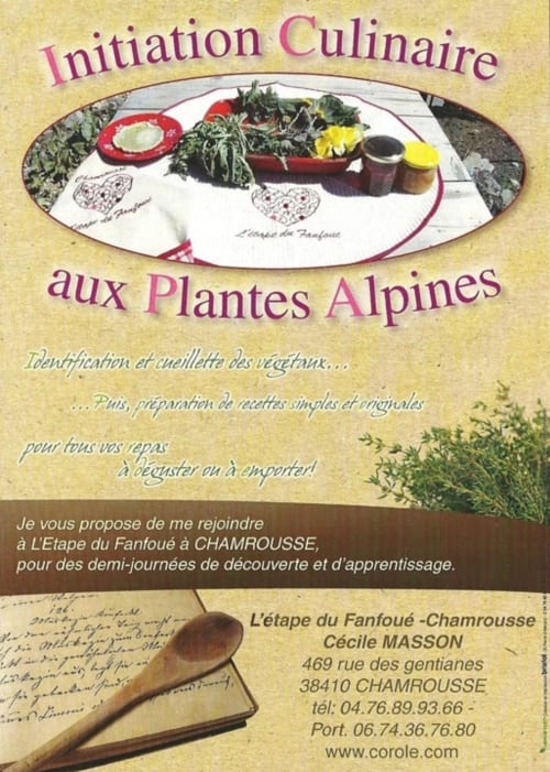 plantes alpines, initiation culinaire - étape du fanfoué