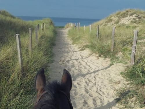 faire de l'équitation sur l'île de ré - Le Clos Des Vieux Moulins