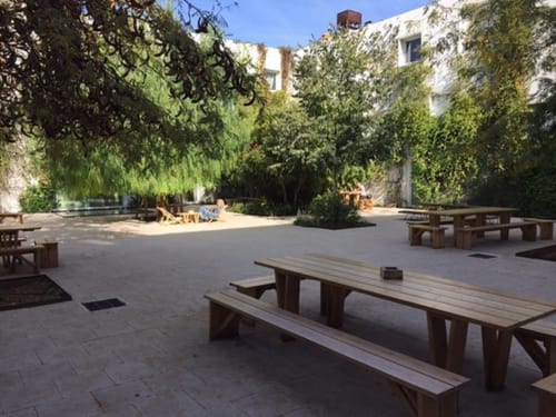 Courtyard at Mas De Lafeuillade B&B in Montpellier with wooden picnic tables and ivy-covered stone buildings
