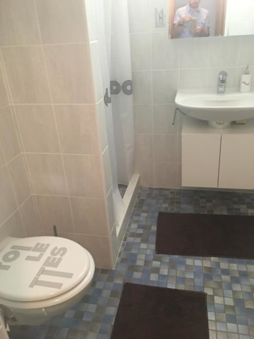 Salle de bain avec douche, chambre double, Suisse Au P'tit Bonheur, Vaud, Suisse.