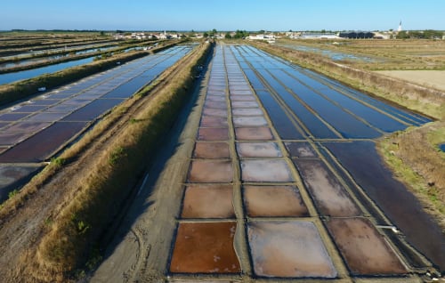 voir les marais salant - île de ré - Le Clos Des Vieux Moulins
