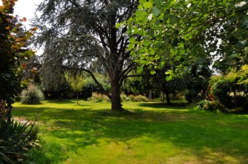 Lush green garden grounds at Aux Prés Du Berry B&B in Chavin, France with mature trees and peaceful landscaping