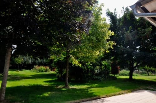 Lush green lawn and mature trees at Aux Prés Du Berry, a charming bed and breakfast in Chavin, France