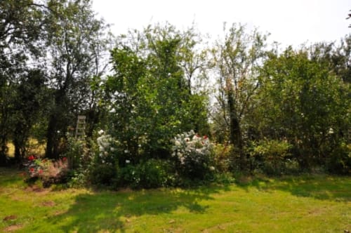 Lush garden with mature trees and flowering plants at Aux Prés Du Berry bed and breakfast in Chavin, France