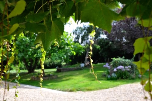 Lush garden view at Aux Prés Du Berry B&B in Chavin, France with blooming hydrangeas and tree-lined pathways