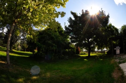 Sunny parkland with mature trees and green lawn at Aux Prés Du Berry, a bed and breakfast in Chavin, France