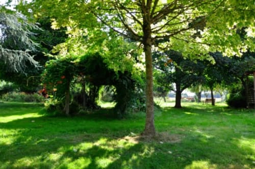 Lush green park with mature trees and manicured lawn at Aux Prés Du Berry, a charming French bed and breakfast in Chavin.