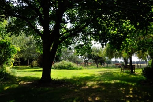 Shaded garden pathway with mature trees at Aux Prés Du Berry bed and breakfast in Chavin, France