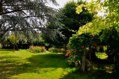 Lush garden at Aux Prés Du Berry B&B in Chavin, France, with green lawn, flowering vines, and mature trees
