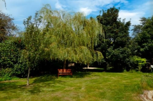 Weeping willow tree and red bench in the lush garden at Aux Prés Du Berry, a charming French bed and breakfast in Chavin.