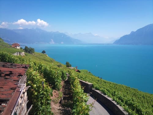 Vue sur le lac,Lausanne, Vaud.