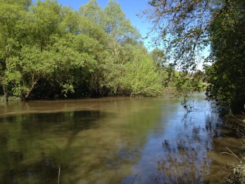 Rivière paisible entourée d'arbres verdoyants au Domaine Des Bois Argentés à Pruniers-en-Sologne