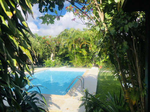 Piscina tropical en Gites Kaladja B&B en Port-Louis, Guadalupe, rodeada de exuberante vegetación y palmeras