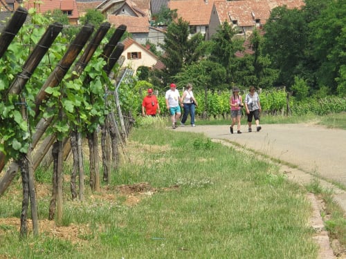 Des clients en jogging sur un sentier rural près d'un vignoble à l'hôtel Le Moulin Des Ramiers à Crupet, Belgique