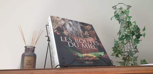 Étagère du Château de Grandmont présentant un livre français, un diffuseur de parfum et une plante lierre retombante