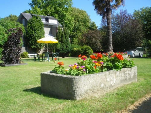 Massif floral coloré dans le jardin soigné d'À L'Abri Des Vents à Saint-Jean-le-Thomas, avec sa charmante maison et palmier