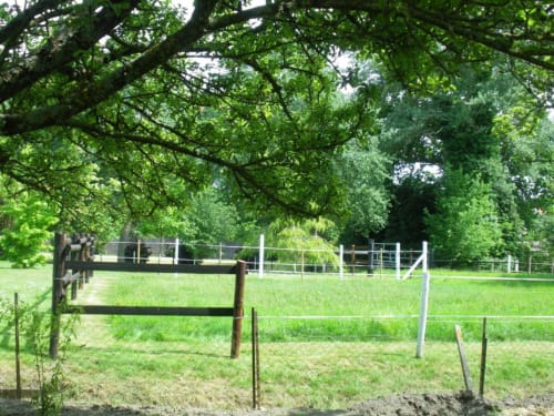 Pâturage clôturé pastoral avec chênes centenaires à À L'Abri Des Vents, gîte à Saint-Jean-le-Thomas, France