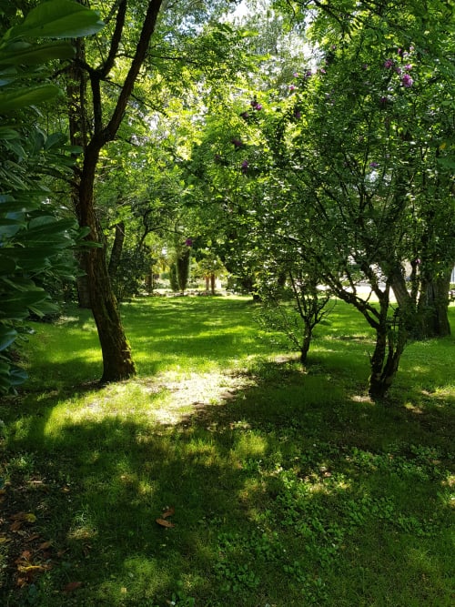 Σκιασμένο μονοπάτι κήπου στο Le Manoir Lacustre B&B στο Queyrac, περιτριγυρισμένο από πράσινα δέντρα και μωβ λουλούδια