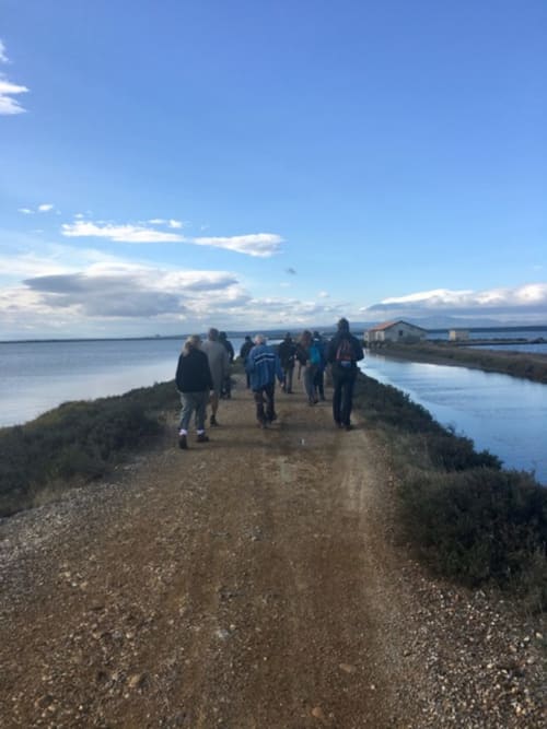Les salins de Gruissan